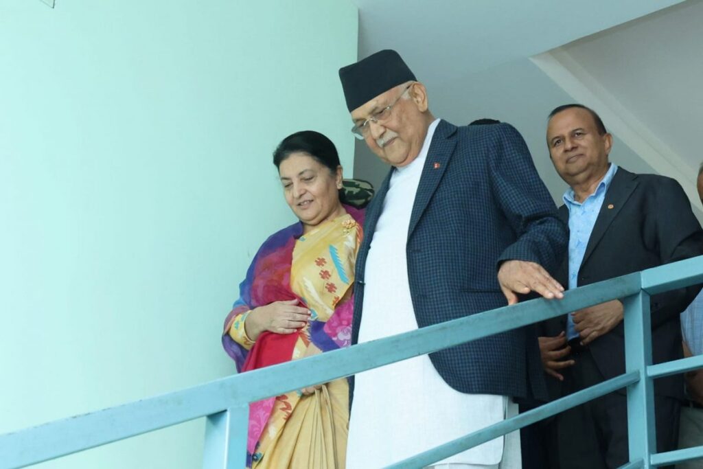 एमालेको भविष्य विद्याको काँधमा